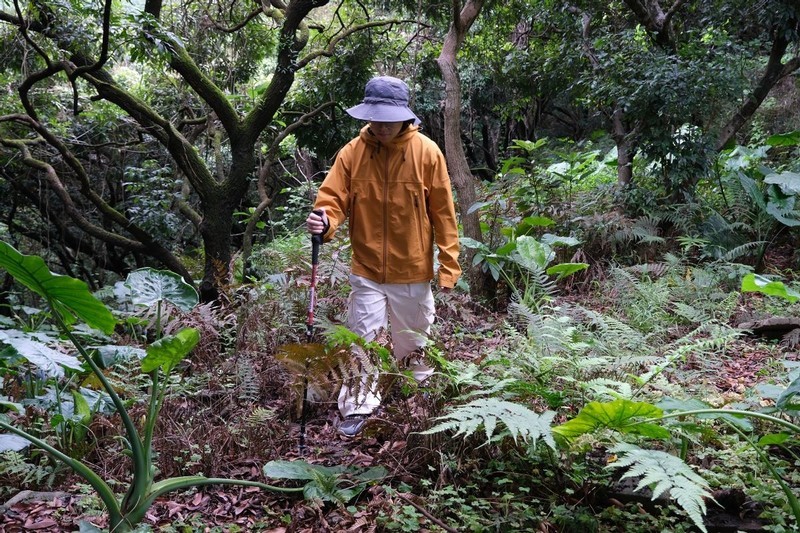 山野间的守护者：天石狼塔冲锋衣深度测评
