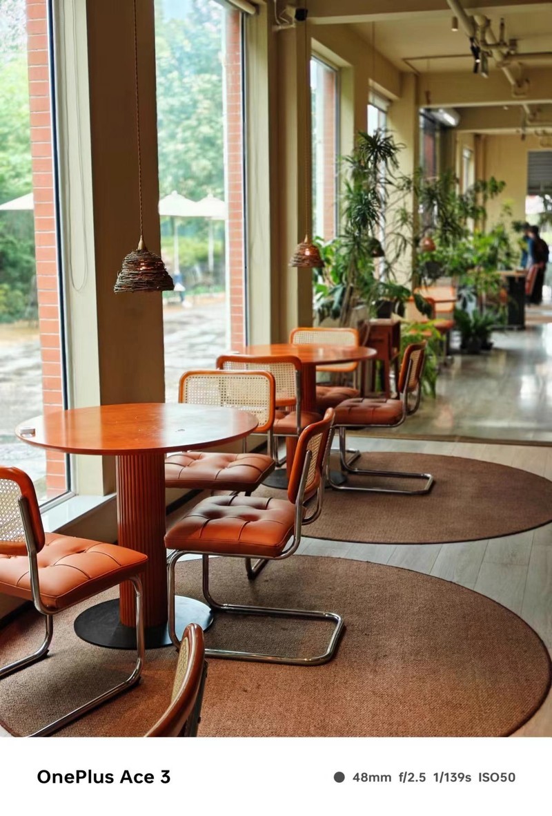 一加Ace3拍照到底怎么样？真实样张，用事实说话