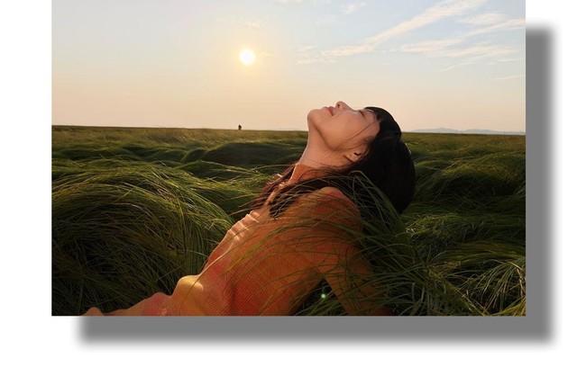 手机真香定律盘点，2023年性价比最高手机大推荐