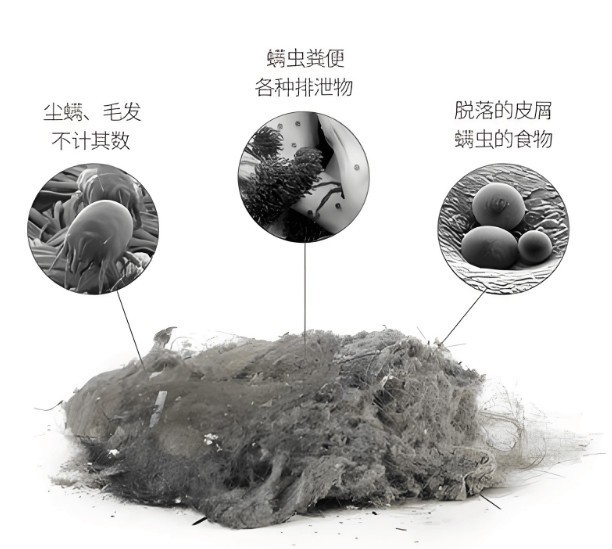 除螨仪哪个品牌好用性价比高？六大性价比高的家用除螨仪品牌推荐