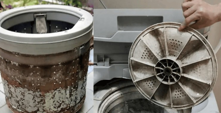 内衣内裤洗衣机品牌哪个好？内衣洗衣机品牌排行榜前十名整理分享