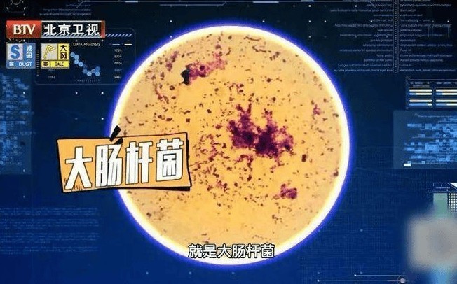 内衣内裤洗衣机品牌哪个好？内衣洗衣机品牌排行榜前十名整理分享