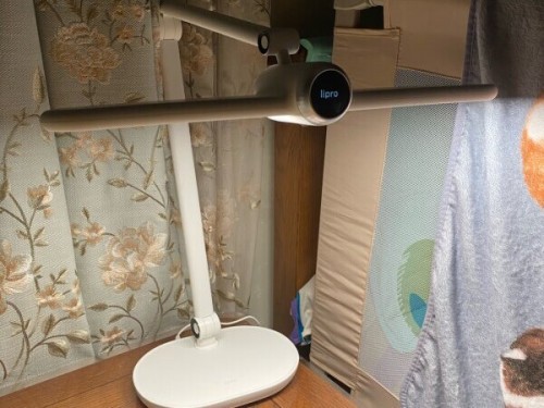 小学生护眼灯什么牌子的好？2025年护眼灯十大文明用语排行榜锐评分享