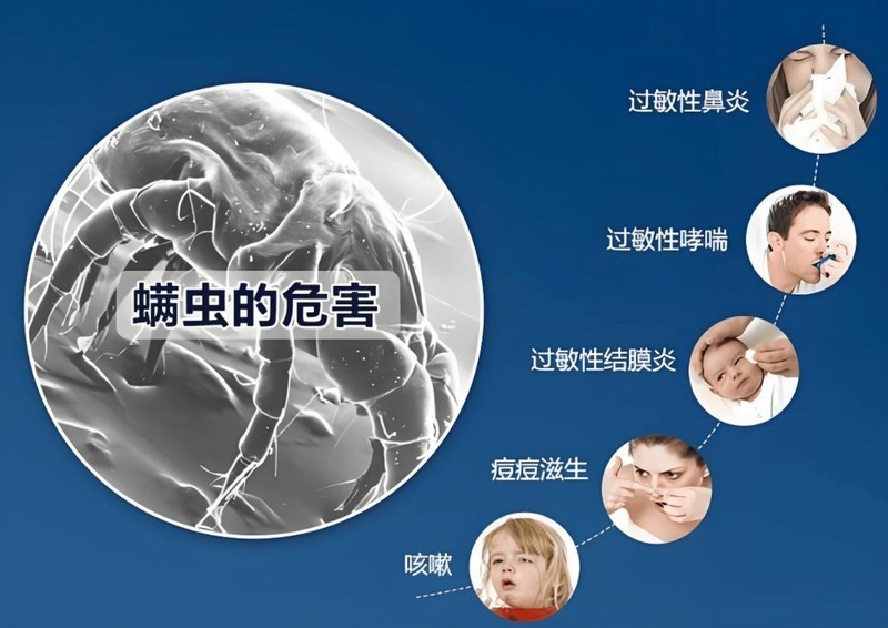 床上用的除螨仪到底有没有用？这5款除螨仪性能炸裂，省钱不交智商税！