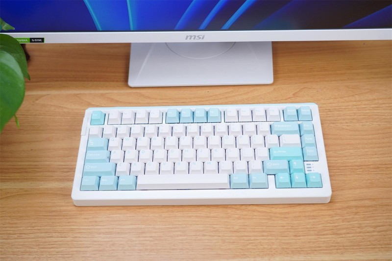 天空轴V3加持，如德芙般丝滑，达尔优A81三模机械键盘分享