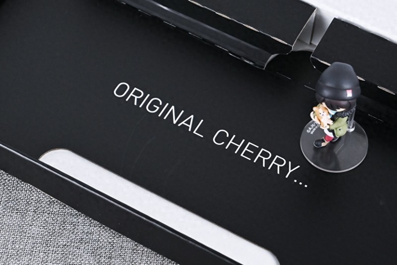 经典轴体有内味了，樱桃MX3.0 TKL RGB机械键盘开箱试玩