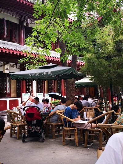 中国地理标志保护产品 福鼎白茶 日晒（白牡丹）