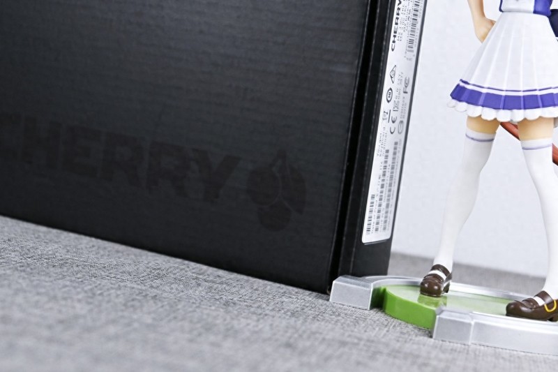 经典轴体有内味了，樱桃MX3.0 TKL RGB机械键盘开箱试玩