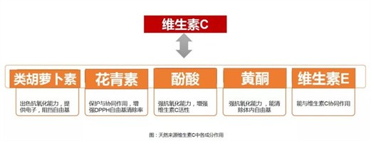 一篇科学文献讲明白：天然维生素C比合成维生素C到底强在哪里？