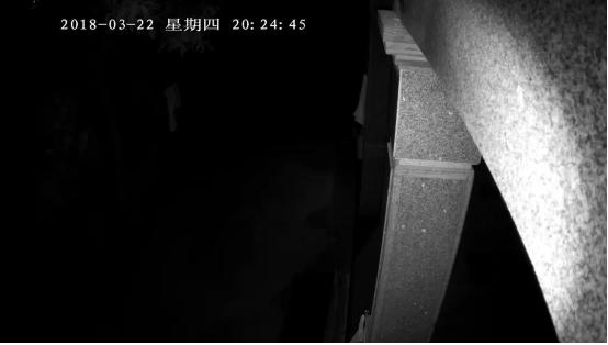 摄像头监控哪个品牌好用？拆穿参数陷阱！三款户外监控硬核测评：90%人不知道的真相！