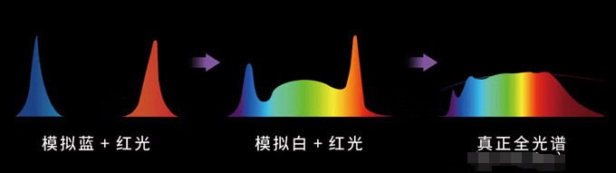 护眼大路灯有没有推荐？哪款好？2025护眼效果最好的品牌测评分享