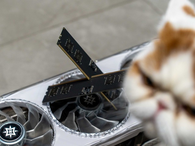 高性价比D5普及条，达墨?16G?DDR5?海力士Adie内存测评