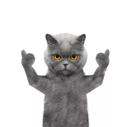 创业从零开始！2024年普通人如何创业