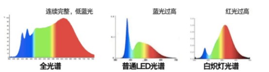 儿童护眼大路灯怎么选择？盘点2025护眼大路灯推荐排行榜前十名品牌