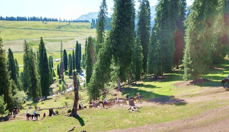 初学无人机航拍------新疆伊犁风光