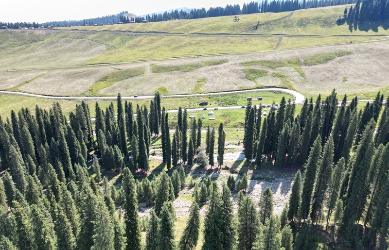 初学无人机航拍------新疆伊犁风光