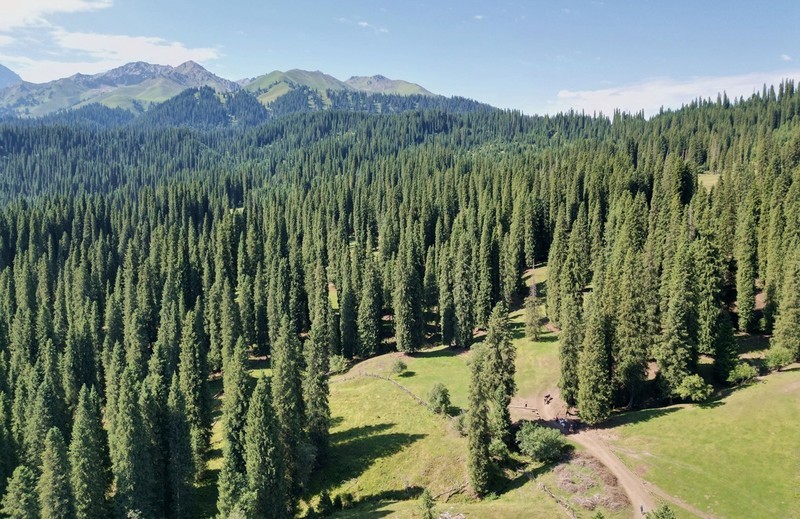 初学无人机航拍------新疆伊犁风光