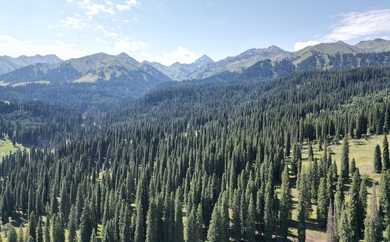 初学无人机航拍------新疆伊犁风光