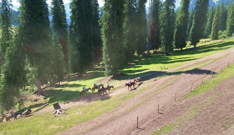 初学无人机航拍------新疆伊犁风光