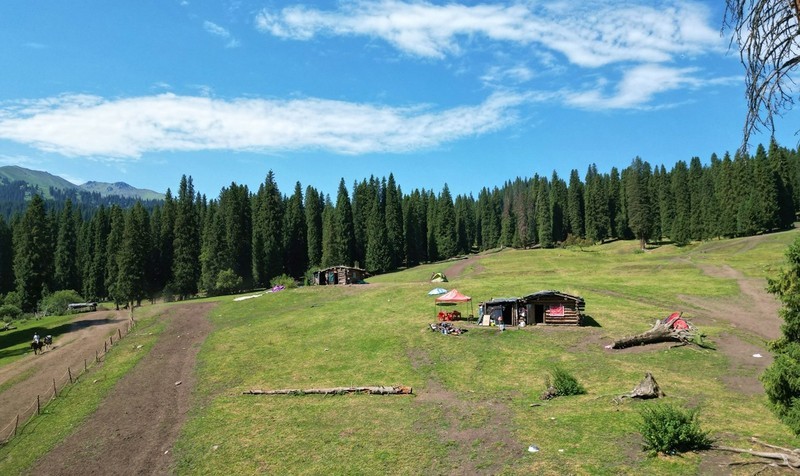 初学无人机航拍------新疆伊犁风光