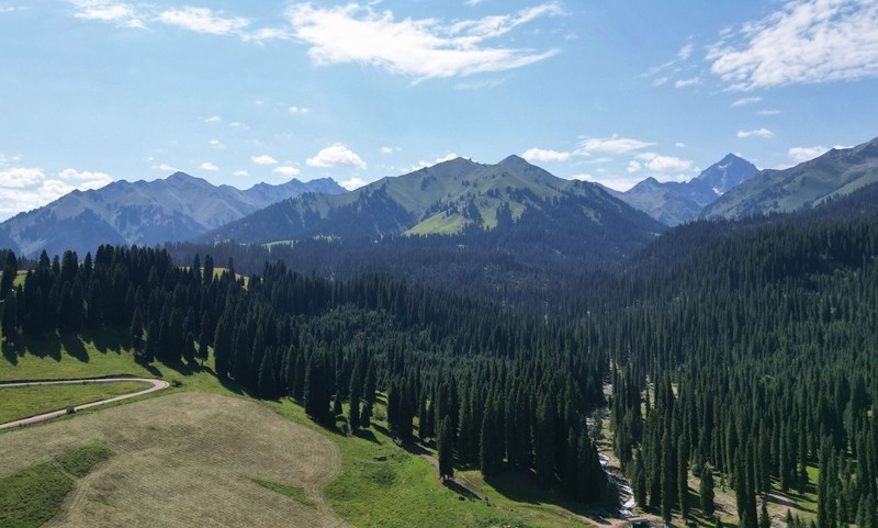 初学无人机航拍------新疆伊犁风光