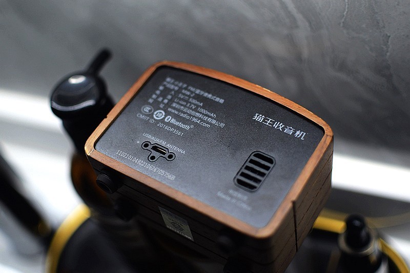 怀念.6年了.又见猫王小王子