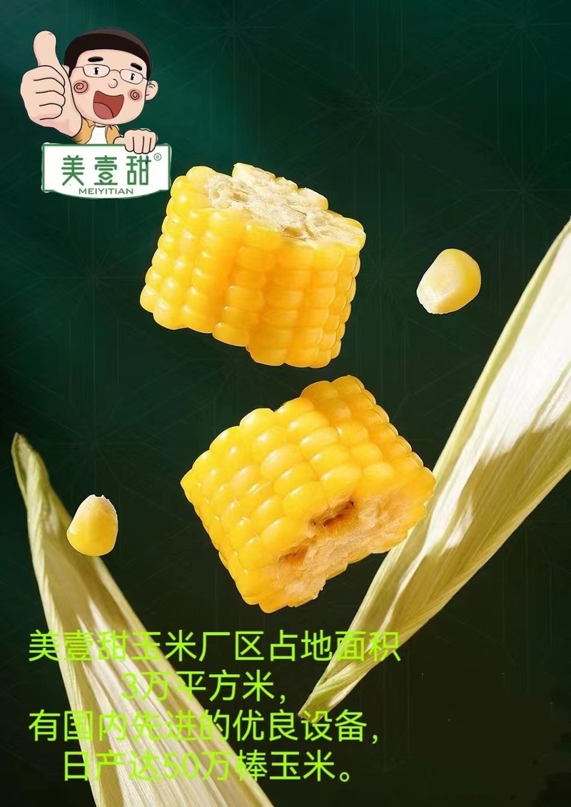 内蒙古鲜食玉米——美壹甜