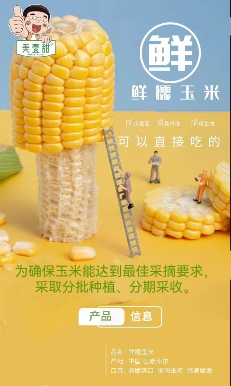 内蒙古鲜食玉米——美壹甜
