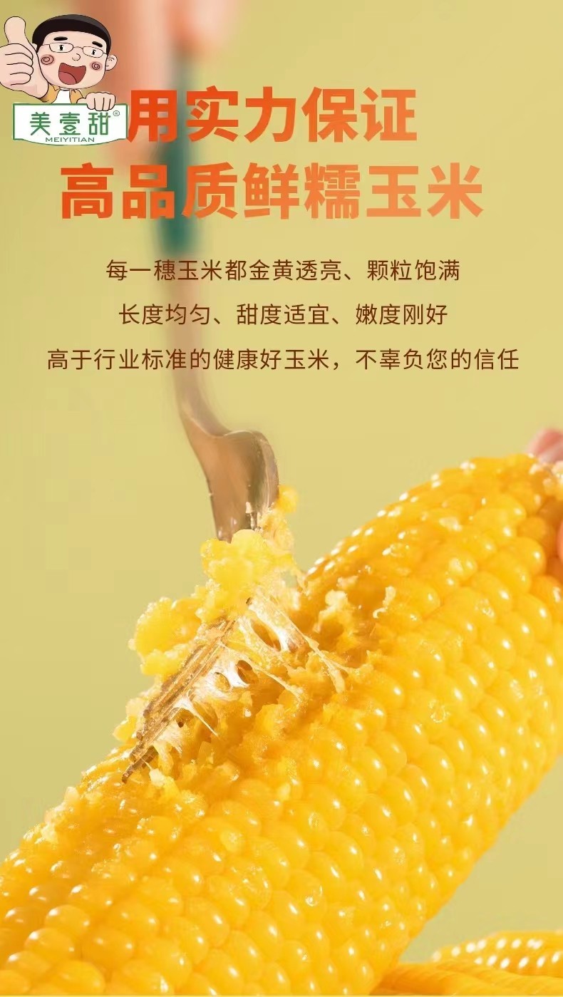 内蒙古鲜食玉米——美壹甜