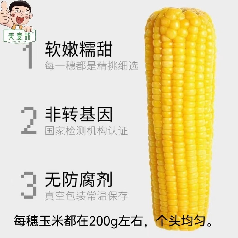 内蒙古鲜食玉米——美壹甜
