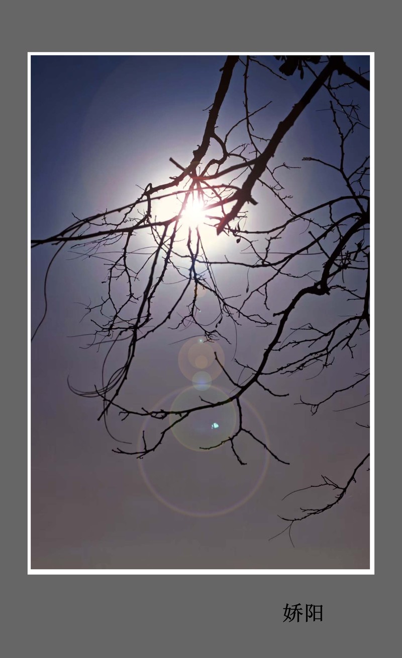 《每日欣赏》！！！