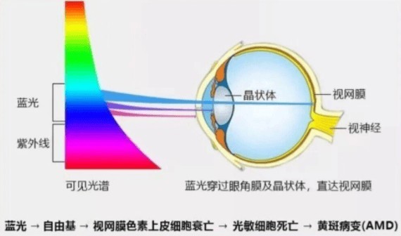 大路灯护眼灯有必要吗？哪款好？护眼大路灯最建议买的牌子推荐