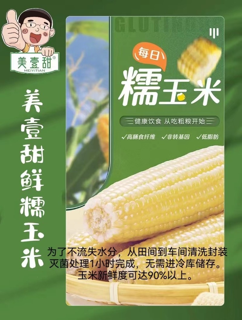 内蒙古鲜食玉米——美壹甜