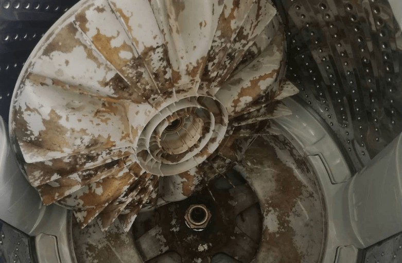 内衣内裤洗衣机有必要买吗？评测揭晓内衣洗衣机热销第一名