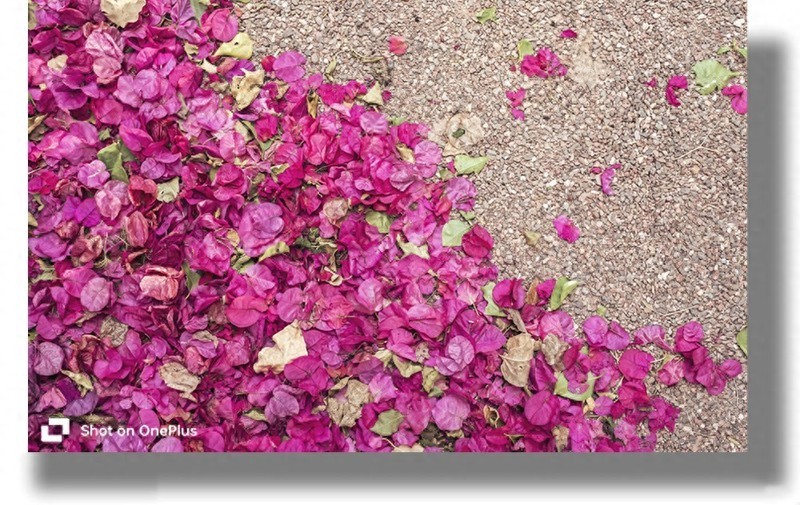 被学姐学妹挑花眼的手机齐上阵，哪款手机更值得买？