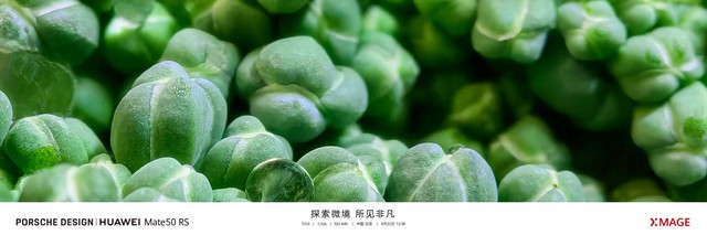 十档可变光圈加长焦微距，华为Mate50系列引领移动影像的再次突破