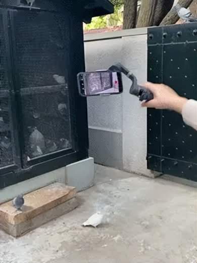 手机稳定器巅峰之作，大疆Osmo Mobile 6到底有哪些升级？