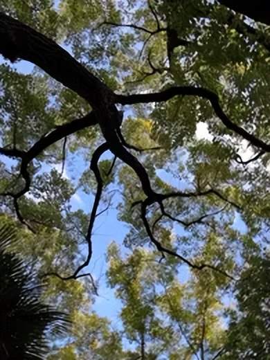 手机稳定器巅峰之作，大疆Osmo Mobile 6到底有哪些升级？