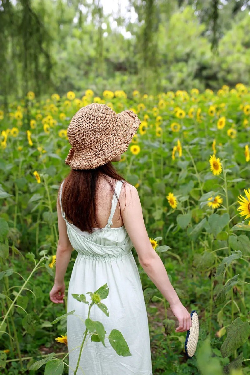 投石问路：随走随拍记录奥森公园里追寻向日葵的背影