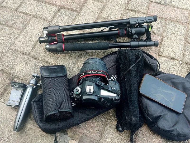 投石问路：随走随拍记录奥森公园里追寻向日葵的背影