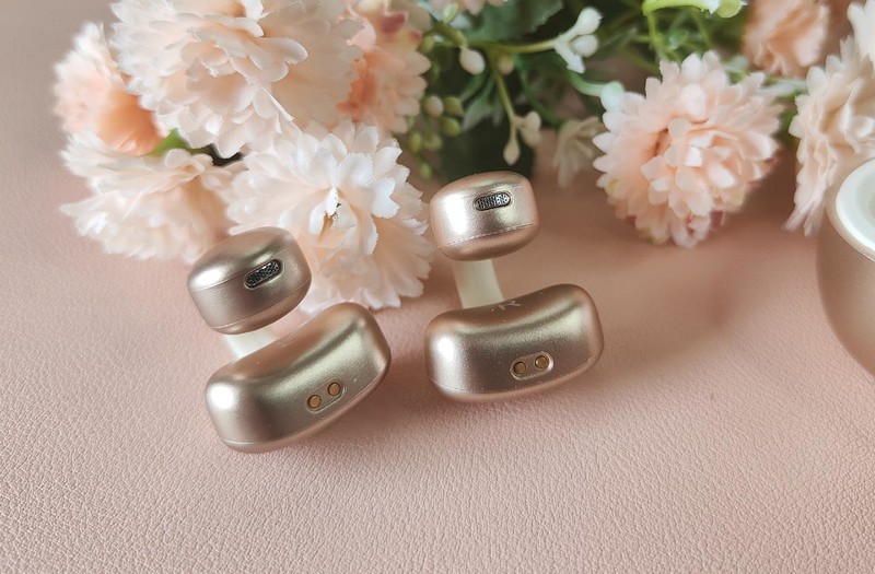 生物振膜技术，音质出色，双飞燕Biosong生物丽声蓝牙耳机