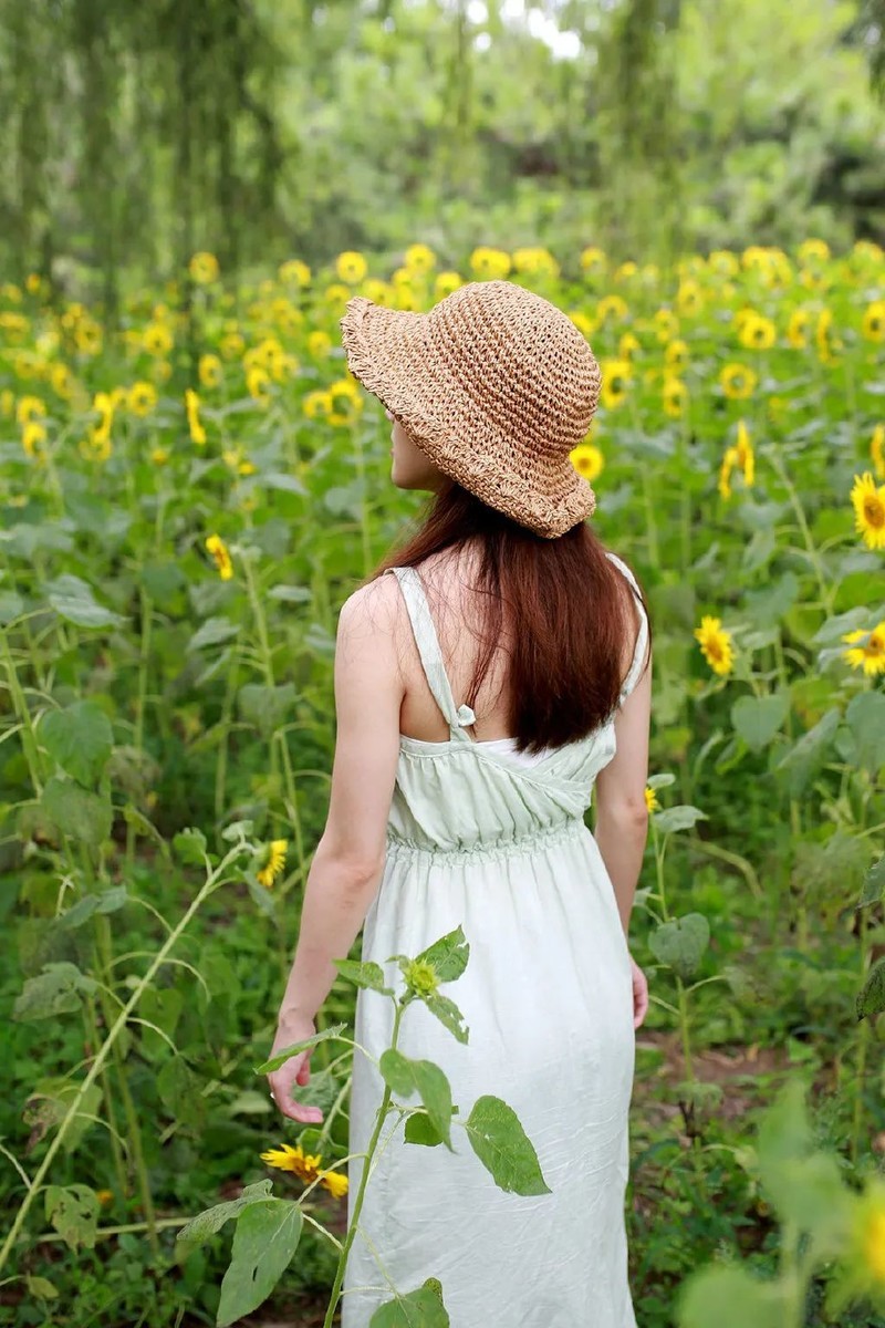 投石问路：随走随拍记录奥森公园里追寻向日葵的背影