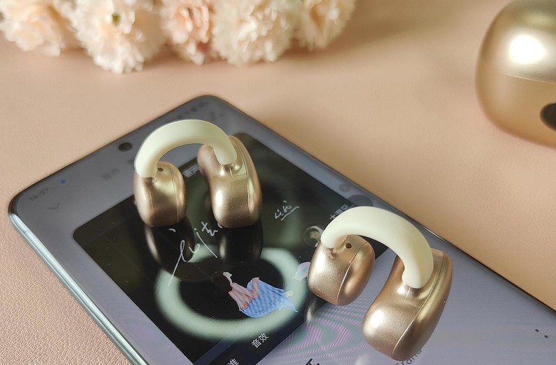 生物振膜技术，音质出色，双飞燕Biosong生物丽声蓝牙耳机