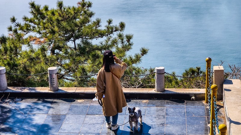 大 连 的 海 ------ 燕 窝 岭