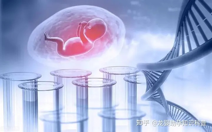 试管生化、胎停育、空孕囊到底是怎么回事？一文读懂