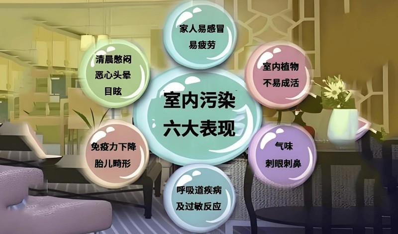 床上除螨仪哪个牌子？2025年5款除螨效果超棒的除螨仪推荐！