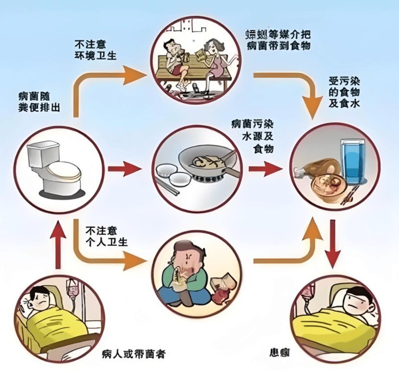 床上除螨仪哪个牌子？2025年5款除螨效果超棒的除螨仪推荐！