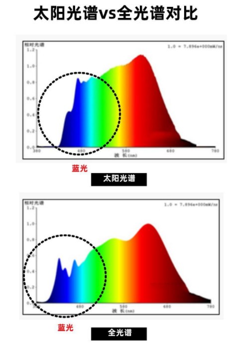 如何正确选择一台大路灯？2024五大出众品牌大路灯推荐，附超全科普知识整理