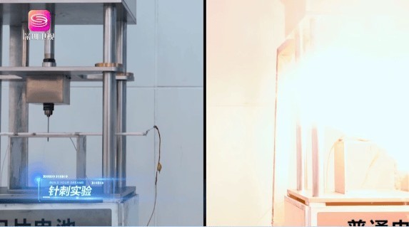 比亚迪又火了！北欧企业家组团参访，盛赞中国新能源创新实力