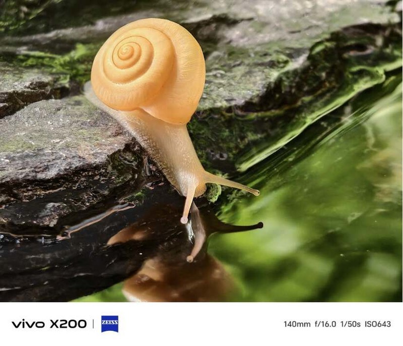vivo X200系列核心卖点速览！是影像灭霸更是全能旗舰